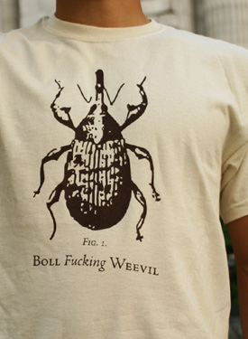 Boll Fucking Weevil
